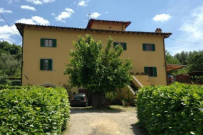 La casa dei nonni- Tuscany countryside Scopeti